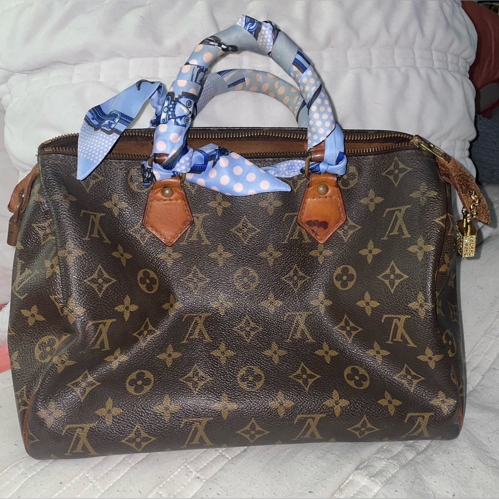 Louis Vuitton Monogram Speedy Tote Bag - Brown